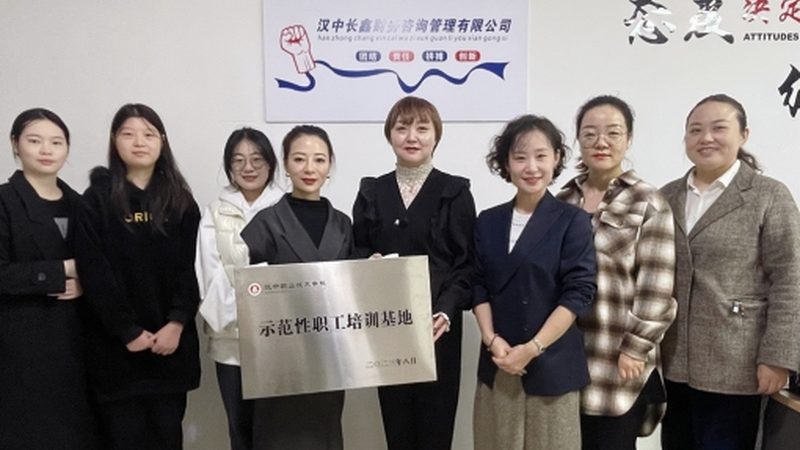 薪酬绩效咨询分类与适用场景解析**