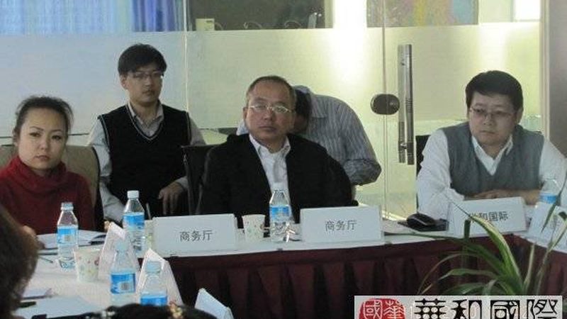 IPO咨询：全面规划，助力企业顺利上市